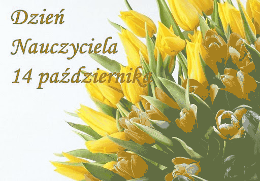 Kolorowe tulipany na dzień nauczyciela